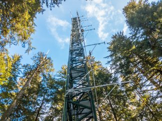 Wind River Tower in D16