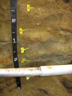 soil profile