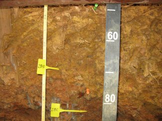 soil profile