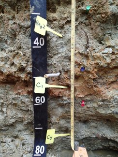 soil profile