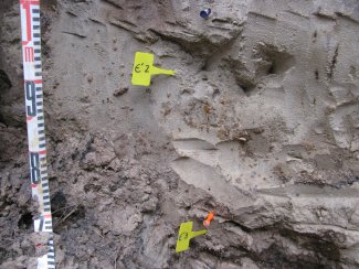 soil profile