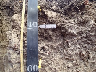 soil profile