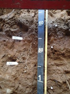 soil profile