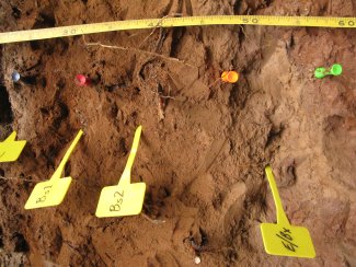 soil profile