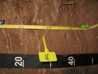 soil profile