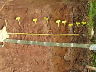 soil profile