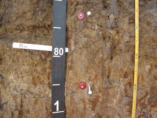 soil profile