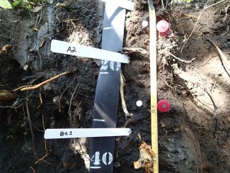 soil profile