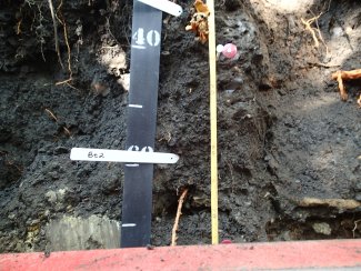 soil profile