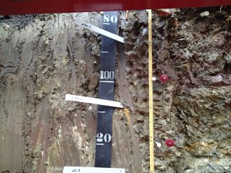 soil profile