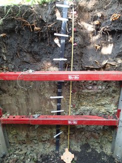 soil profile