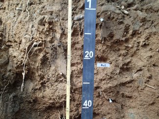 soil profile