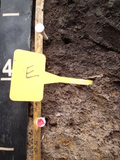 soil profile