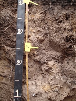 soil profile