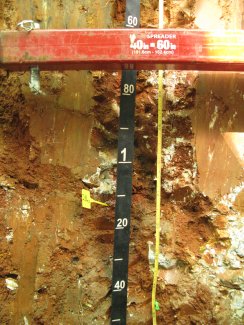 soil profile