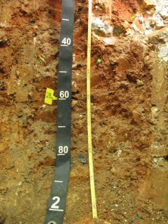 soil profile