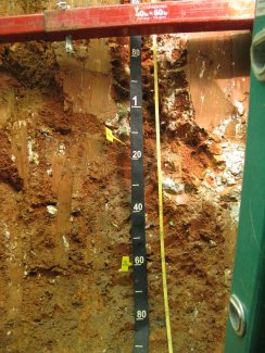 soil profile