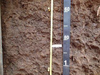 soil profile