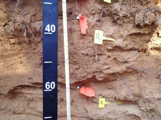 soil profile