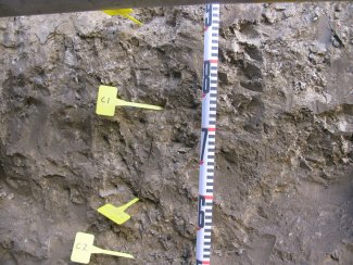 soil profile