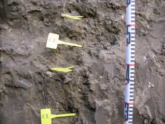 soil profile