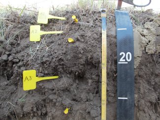 soil profile