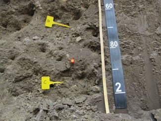 soil profile