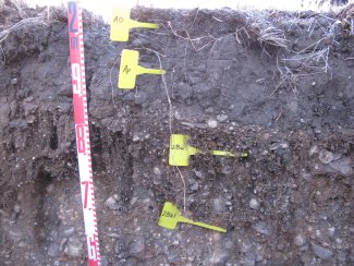 soil profile