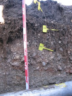 soil profile