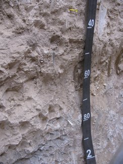 soil profile