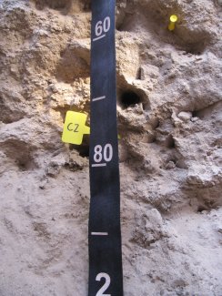 soil profile