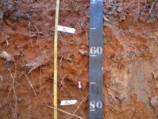 soil profile