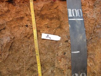 soil profile