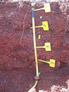 soil profile