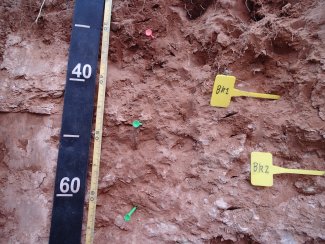 soil profile