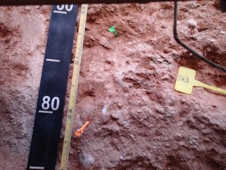 soil profile