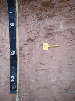 soil profile