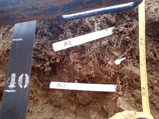 soil profile