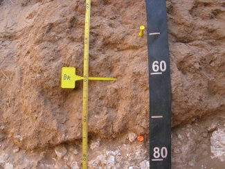 soil profile