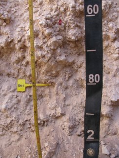 soil profile