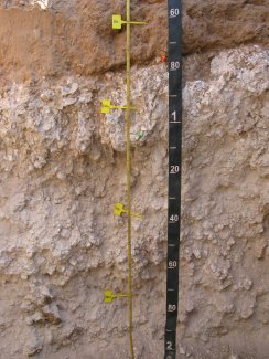 soil profile