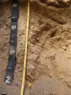 soil profile