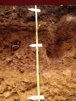 soil profile