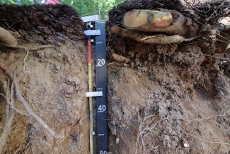 soil profile