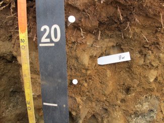 soil profile