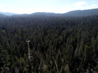 Tower at Lower Teakettle (TEAK)