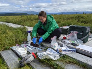 Meara Clark cuts fresh soil core samples