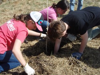 youth planting event