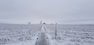 WOOD site under frost