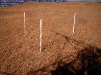 KONZ lower phenocam March 17 2023